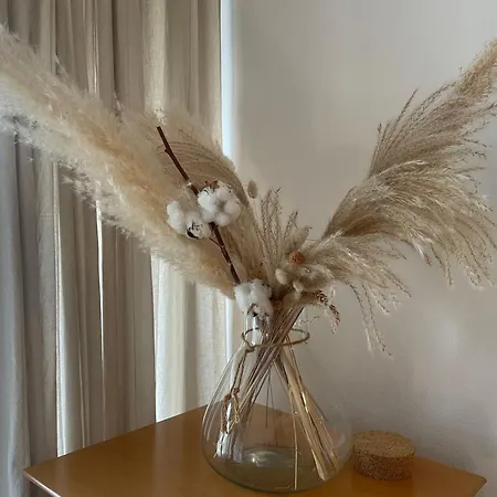 Moewen Nest Apartment