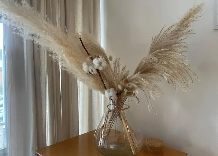 Möwen Nest Apartment